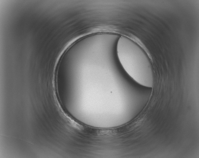 X0000068731339200604280940