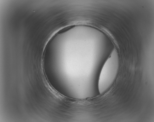 X0000068731340200604280940