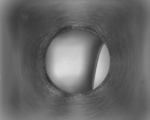 X0000068731345200604280940