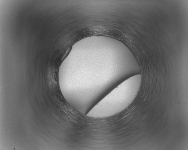 X0000068731346200604280940