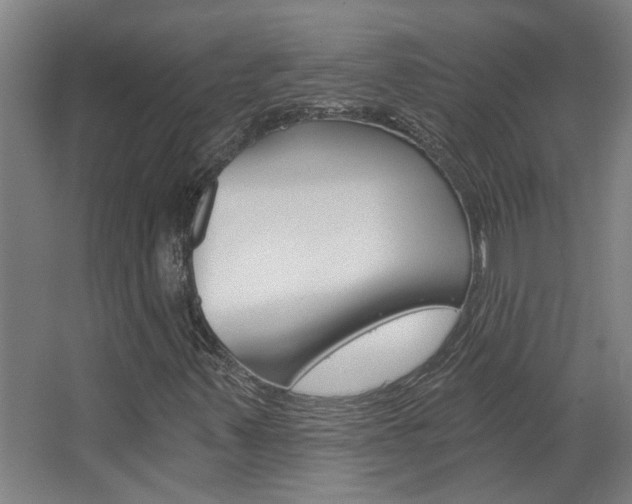 X0000068731347200604280939