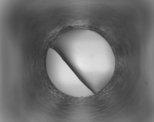 X0000068731350200604280939