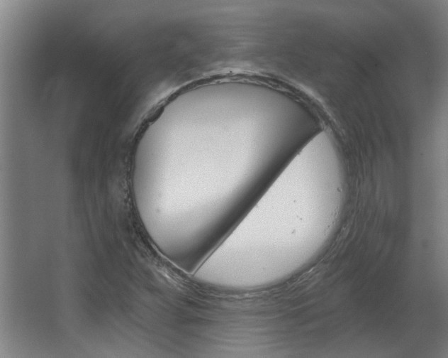 X0000068731359200604280939