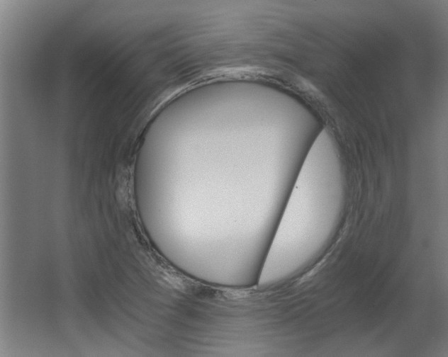X0000068731361200604280939