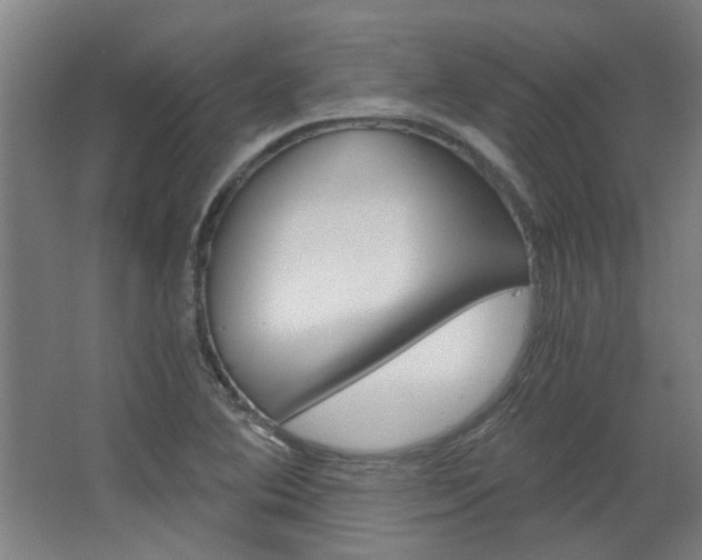 X0000068731364200604280939