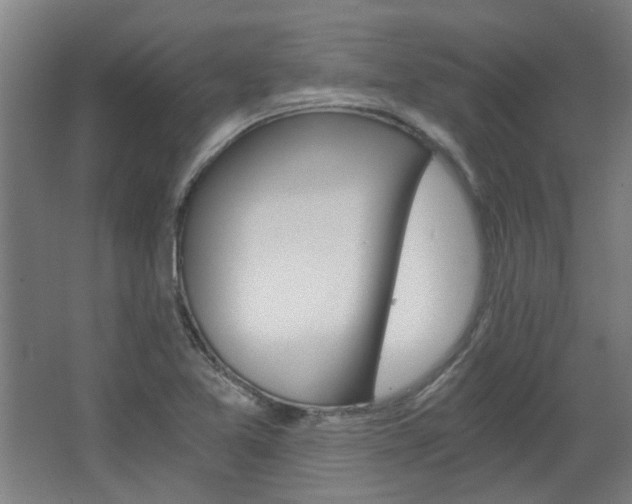 X0000068731365200604280939