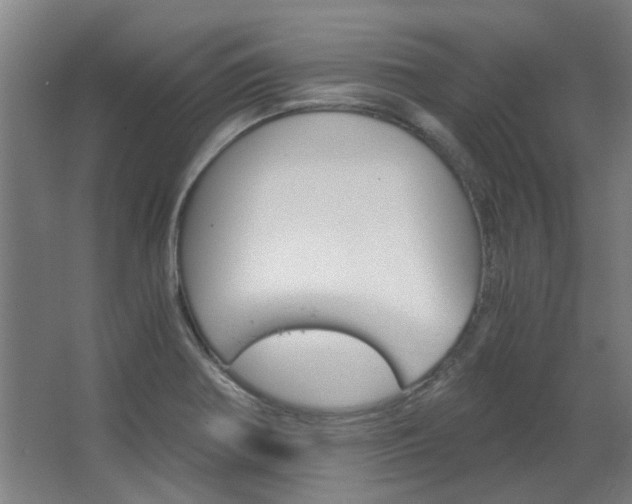 X0000068731370200604280939