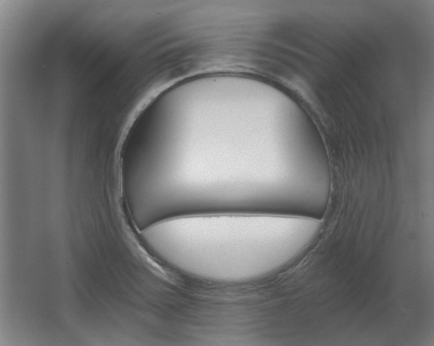 X0000068731371200604280939