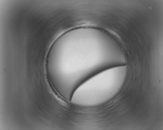 X0000068731375200604280939