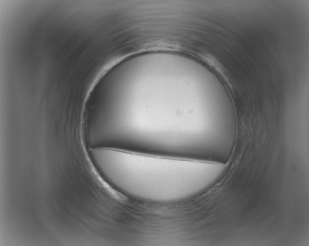 X0000068731379200604280939
