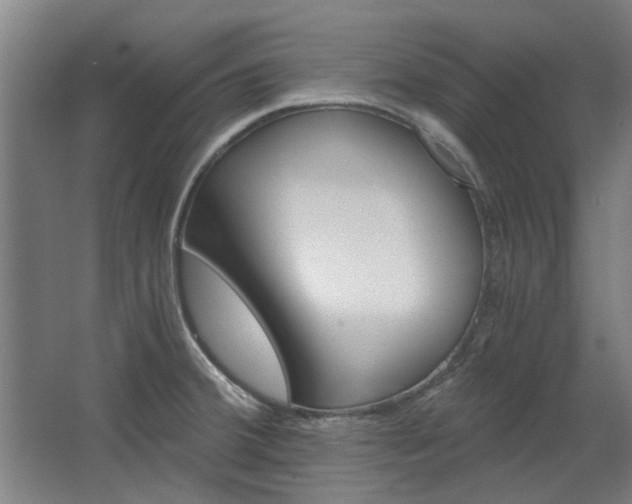 X0000068731380200604280939