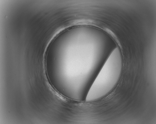X0000068731384200604280939