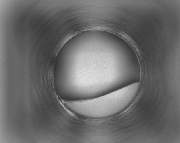 X0000068731385200604280939