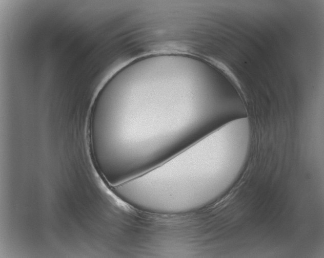 X0000068731387200604280939