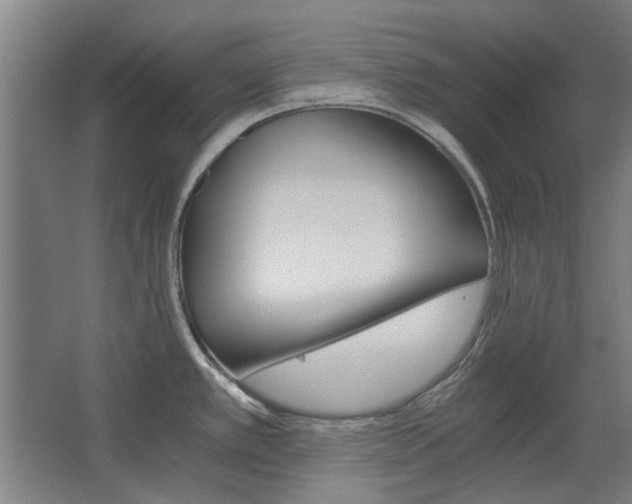 X0000068731389200604280939