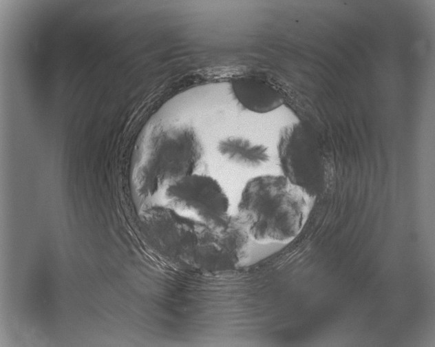 X0000068731393200604280938