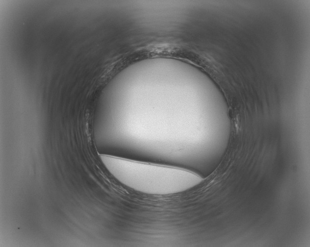 X0000068731396200604280938