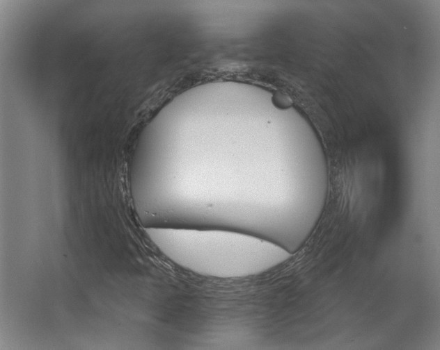 X0000068731397200604280938