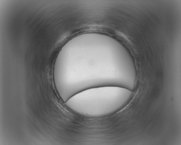 X0000068731403200604280938
