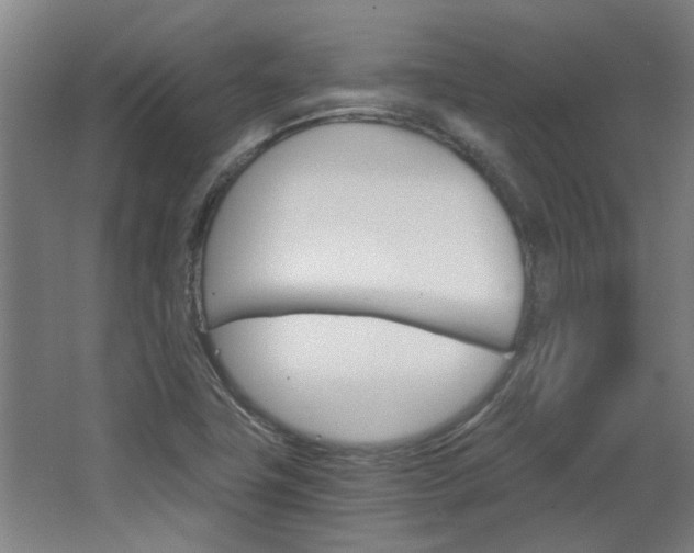 X0000068731411200604280938