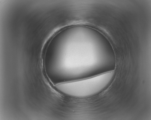 X0000068731414200604280938