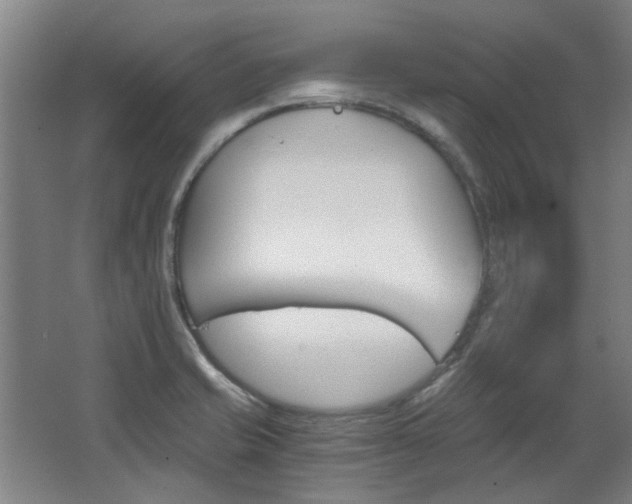 X0000068731421200604280938