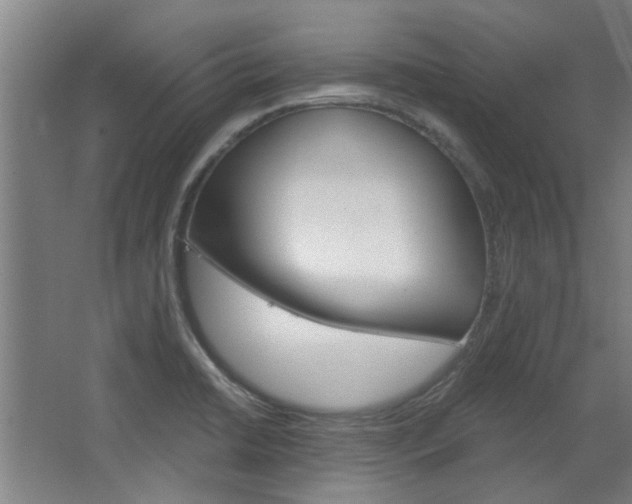 X0000068731422200604280938