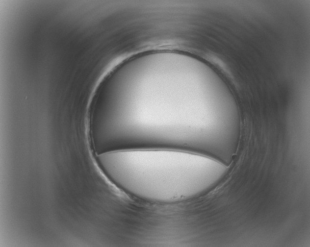 X0000068731424200604280938