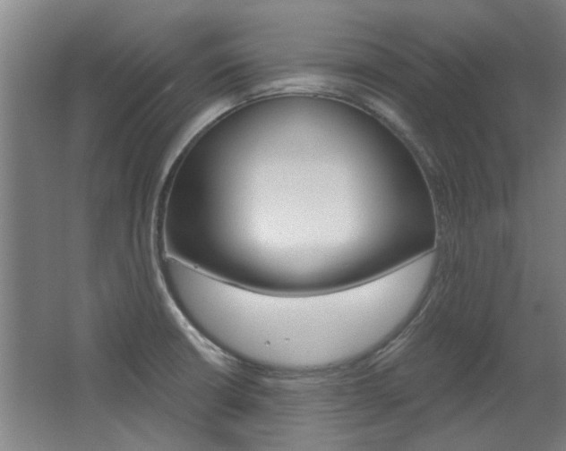 X0000068731426200604280938