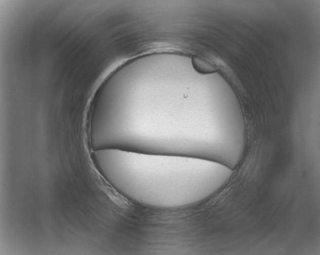 X0000068731427200604280938