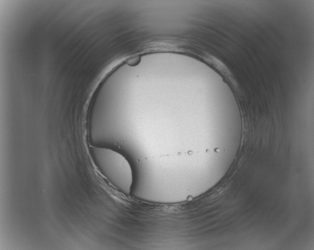 X0000068731435200604280938