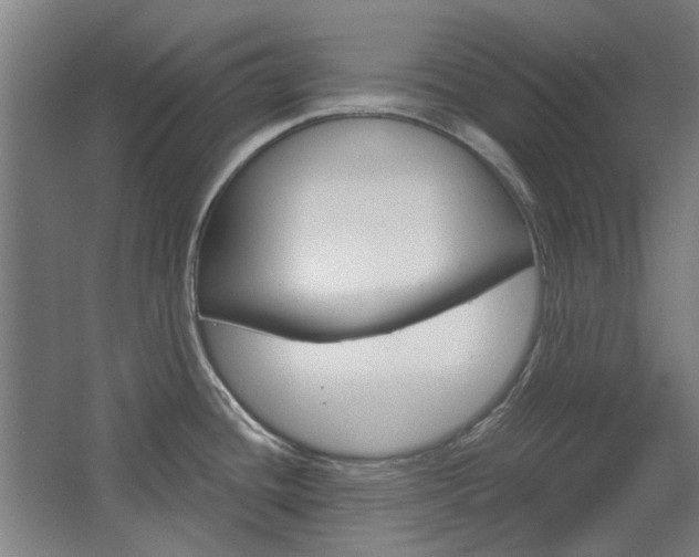 X0000068731436200604280938