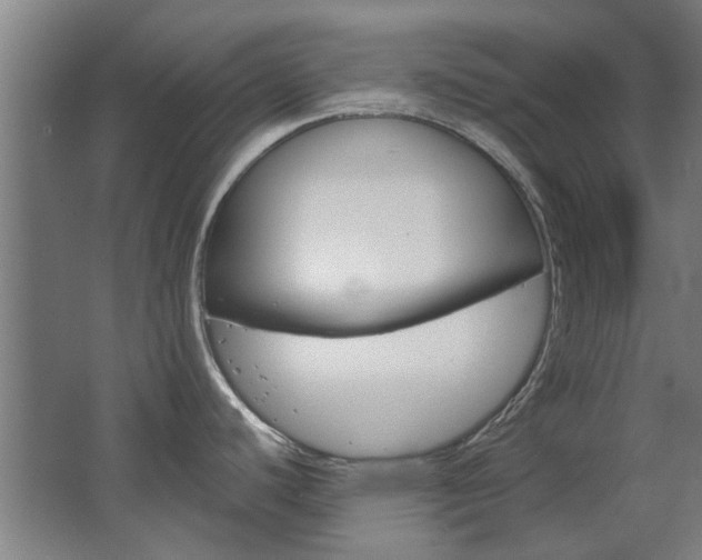 X0000068731440200604280939