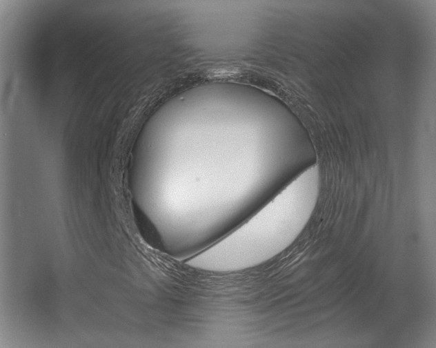 X0000068731441200604280938