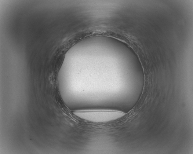 X0000068731445200604280938