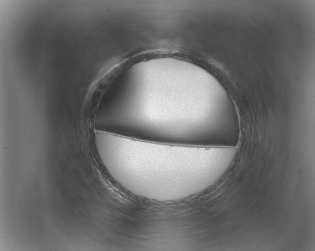 X0000068731448200604280938