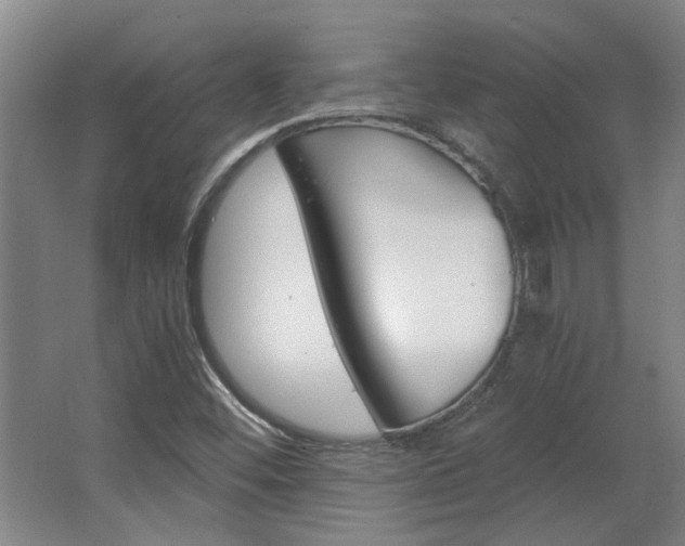 X0000068731452200604280938