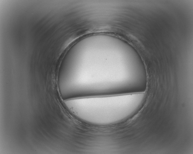 X0000068731457200604280937