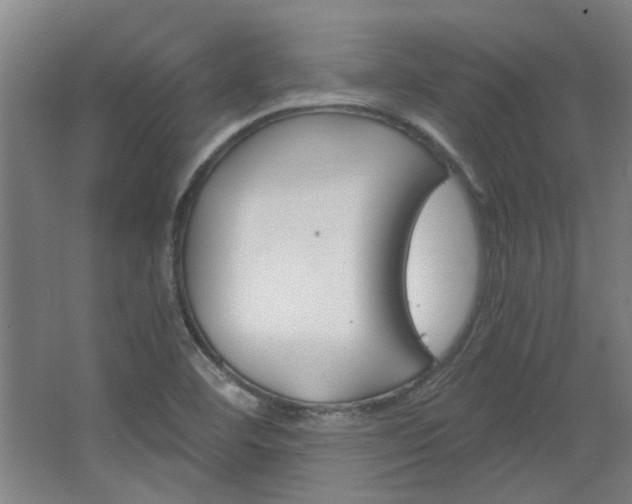 X0000068731460200604280937