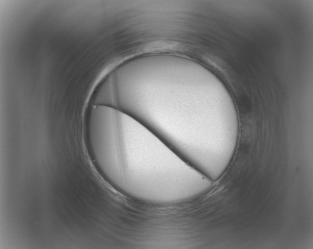 X0000068731467200604280937