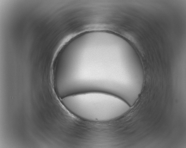 X0000068731472200604280937