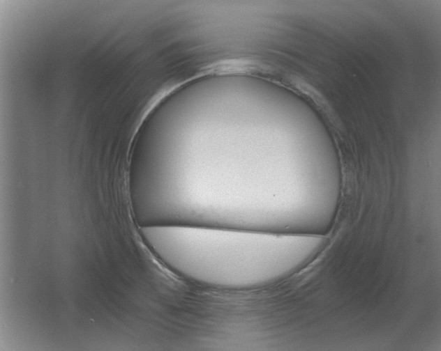 X0000068731473200604280937