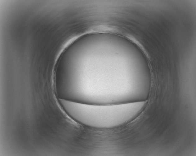 X0000068731477200604280937