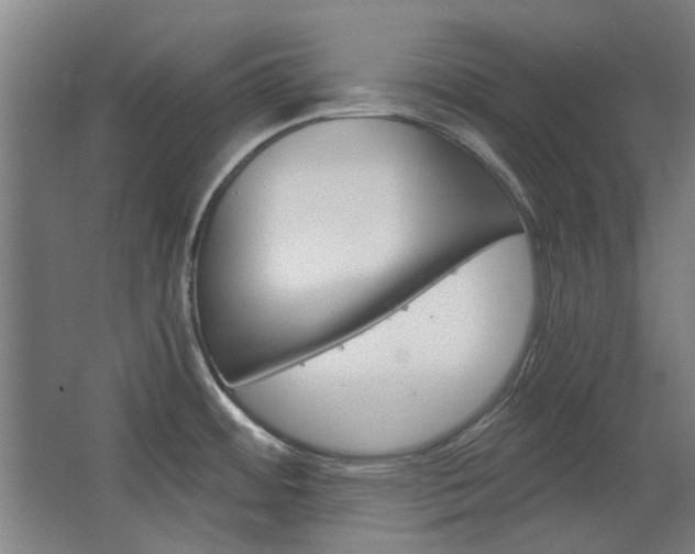X0000068731484200604280937