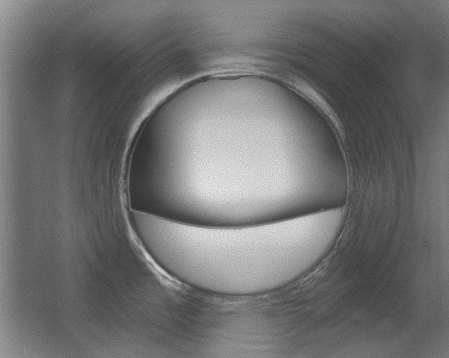 X0000068731485200604280937