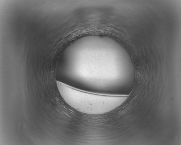 X0000068731490200604280936