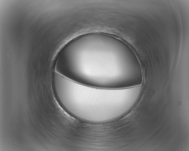X0000068731500200604280936