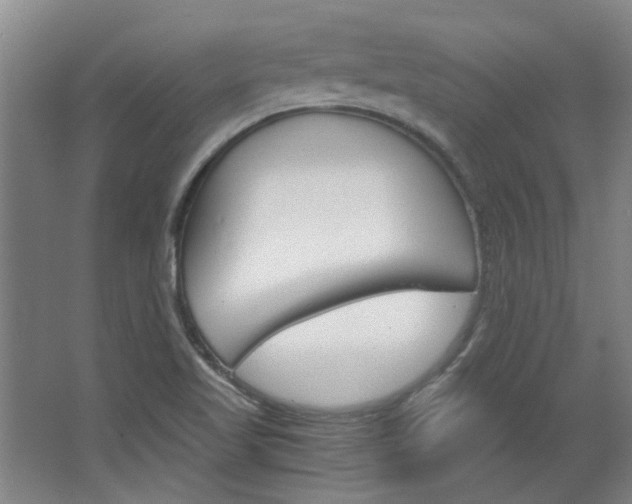 X0000068731509200604280936