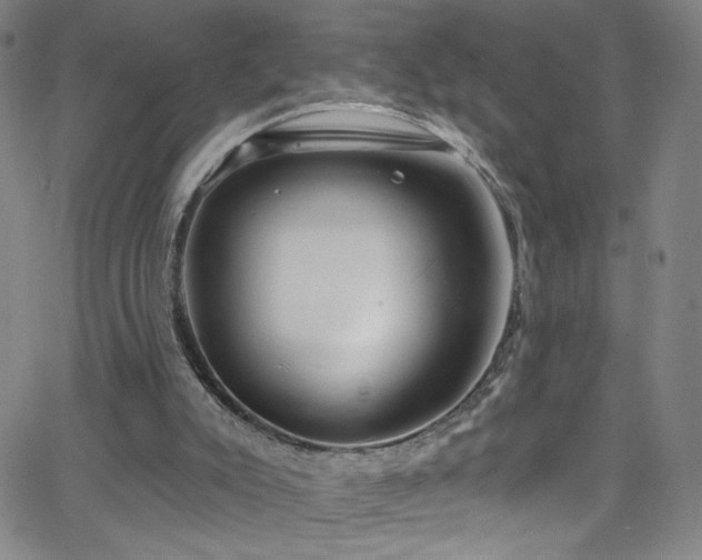 X0000068730007200604281150
