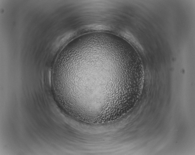 X0000068730014200604281150